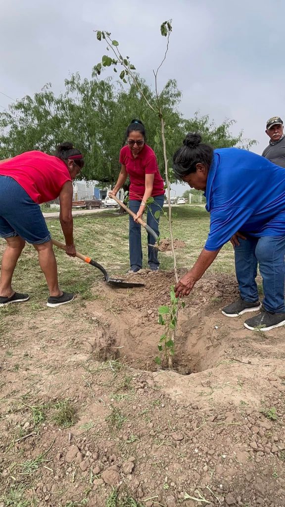 Gobierno de Reynosa reforesta y embellece Plaza de San Valentín